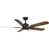 Oil Rubbed Bronze with Brown Blades is out of stock