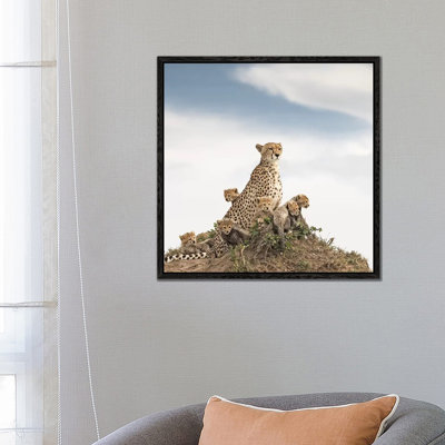 Colour Cheetah & Cubs by Klaus Tiedge - Print on Canvas