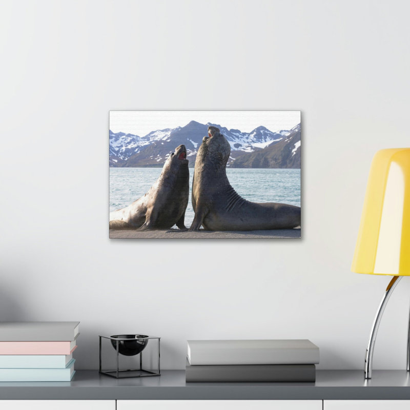 No Frame Print on Canvas, 11cm H x 14cm W
