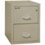 Fireproof 2 - Drawer File Cabinet-331490-12136690-216449