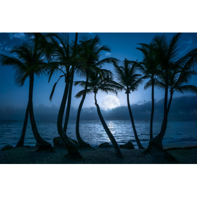 Beautiful Beautiful Full Moon - Photographie sur toile tendue