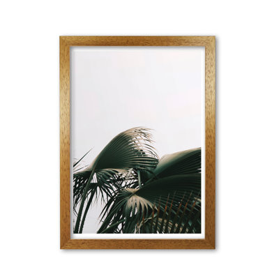 Bushy Palm Leaves 1 Piece Single Picture Frame Wall Art