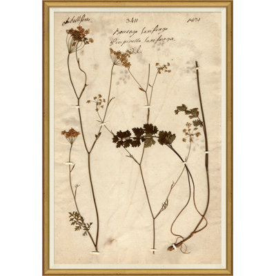 «Herbarium 1», peinture sur cadre