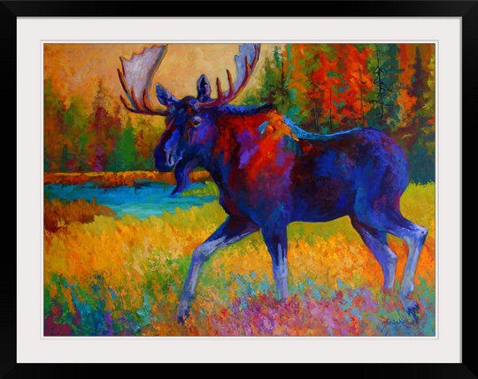 «Siya Majestic Moose» par Marion Rose, reproduction sur toile, H 25 po x l 31 po x P 1 po, Imprimé à cadre noir