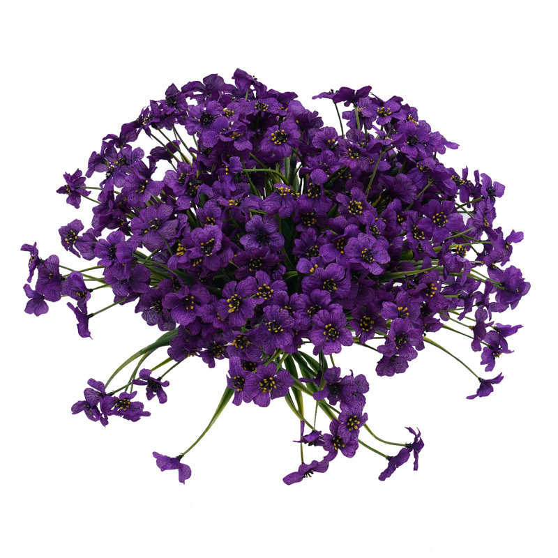 Tiges Delphinium