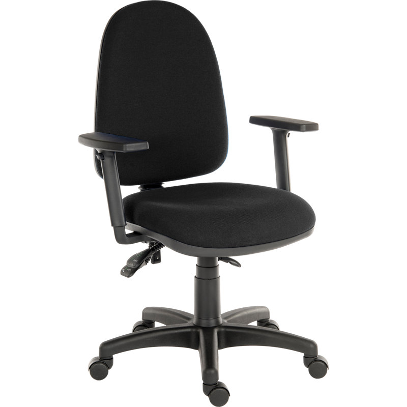 Ergo Office Chair, Without Arms, Black