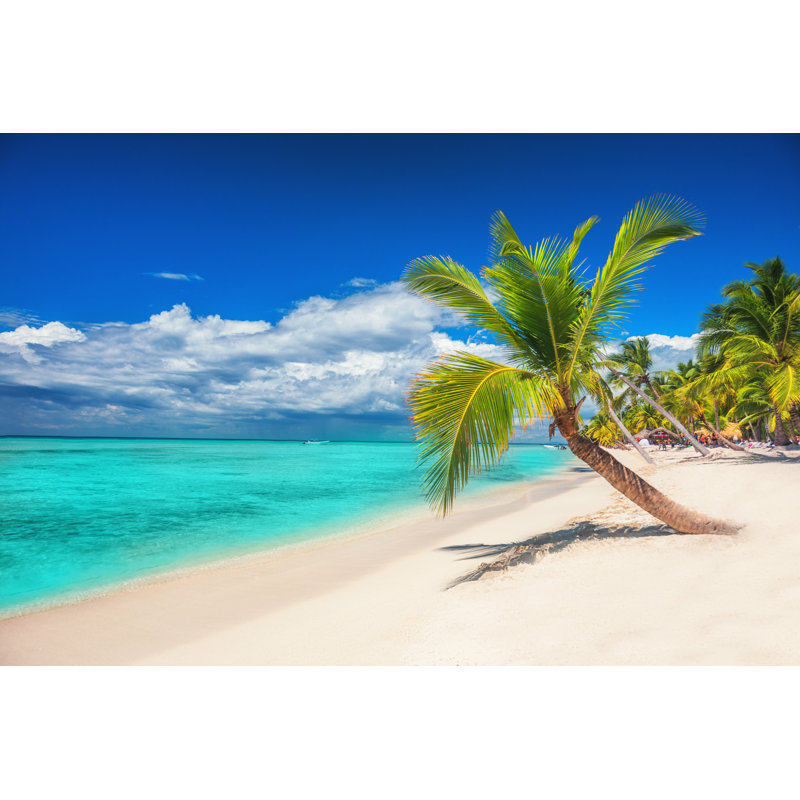 Plage avec palmiers par Anmfoto - Photographie sur toile tendue, H 12 po x l 18 po