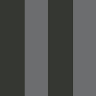 Tarn Wide Stripe Wallpaper
