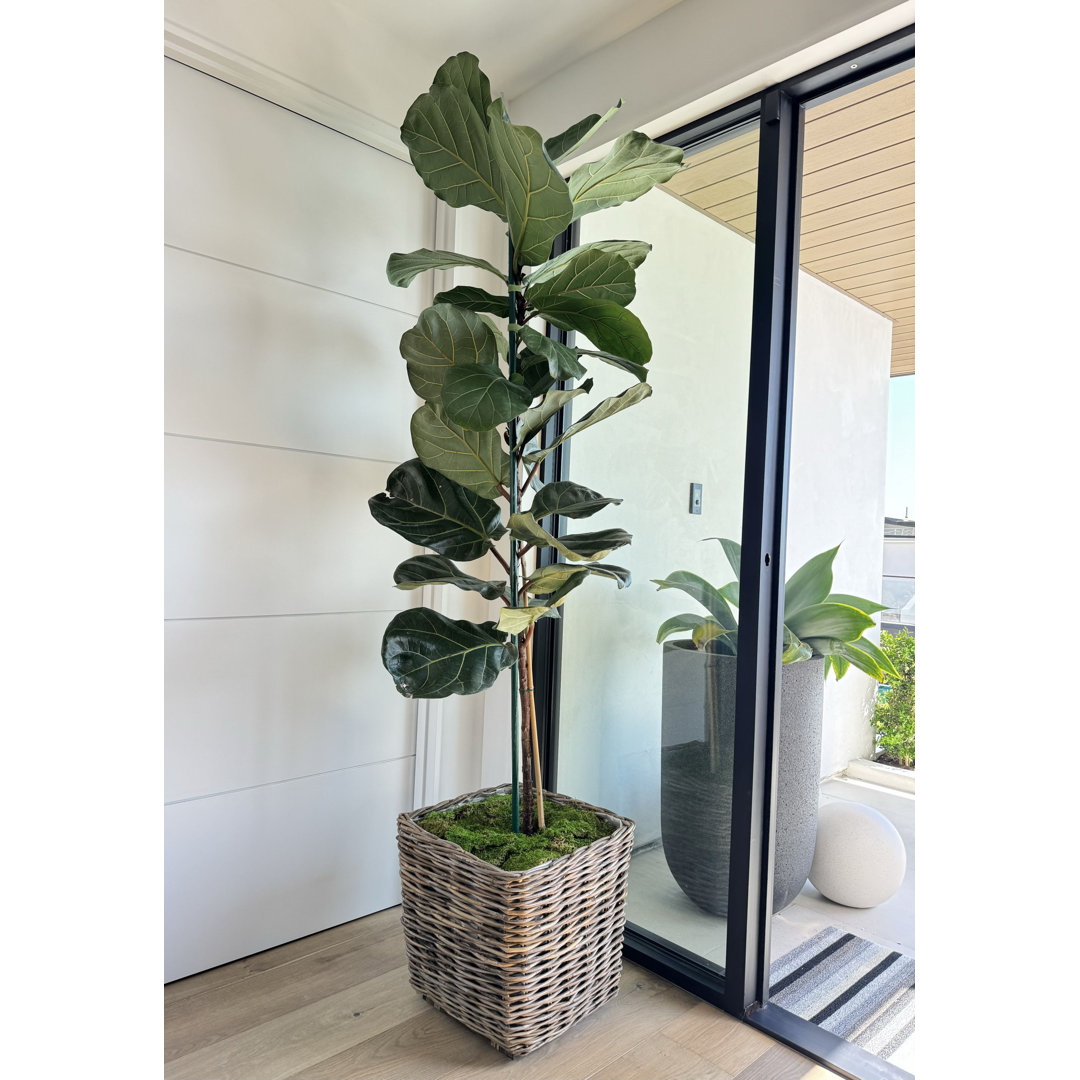 Ayriauna Handmade Cachepot Beachcrest Home™