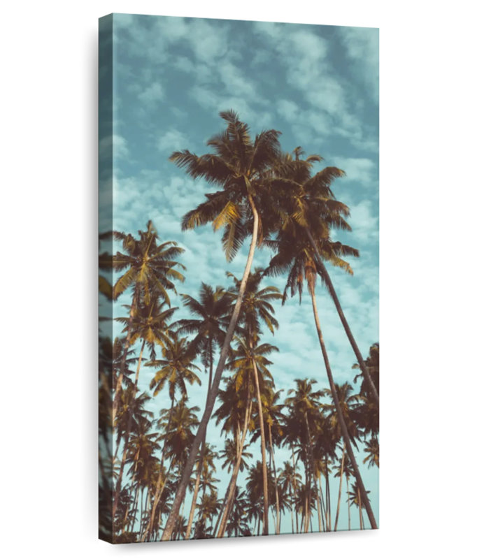 Cocotiers