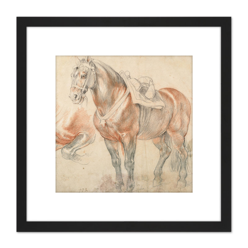 Saddled Horse by Peter Paul Rubens - Single Picture Frame Painting
