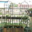 Ensemble de 4 treillis de jardin en métal 71 po x 19,7 po, support pour plantes d'extérieur antirouille, noir, facile à construire, fabrication en tube galvanisé de 19,7 po