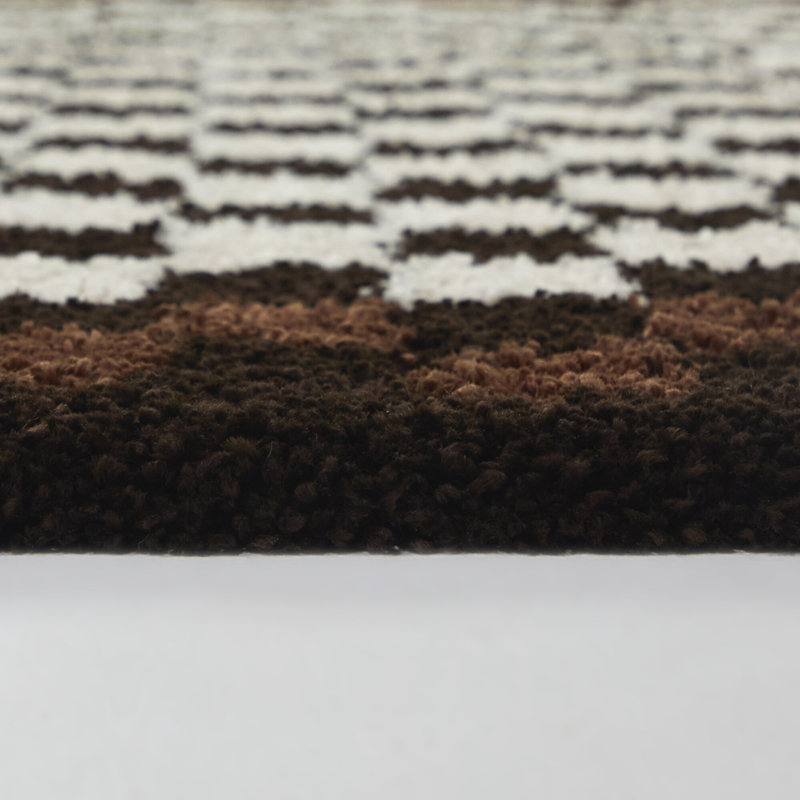 Channahon Brown/Cream Checkered Shag Area Rug, Rectangle 7'10" x 10'