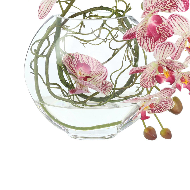 Orchid and Vine Arrangement in Glass Vase, Pink
