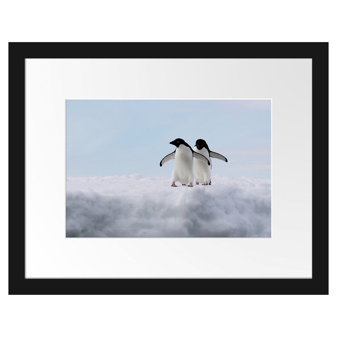 Gerahmter Fotodruck Adelie Penguins on an Ice Floe