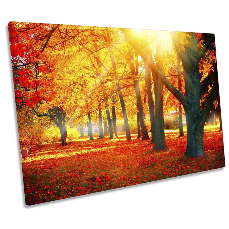 Sunset Autumn Tree Park - Wrapped Canvas Print, 40.6cm  H x 61cm  W