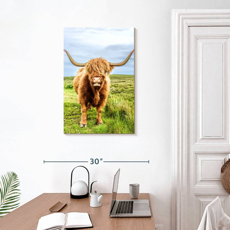 «Fluffy Baby Highland Cow», Écosse, H 30 po x l 20 po