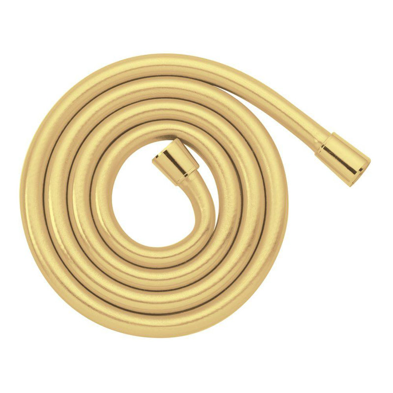 Tuyau de douche à main 63 po Showerpower Techniflex B, Laiton poli