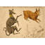 Canis Major Print by Grand Archives-1356921718-1356921737