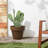 Jermoni Pot Planter-935135178
