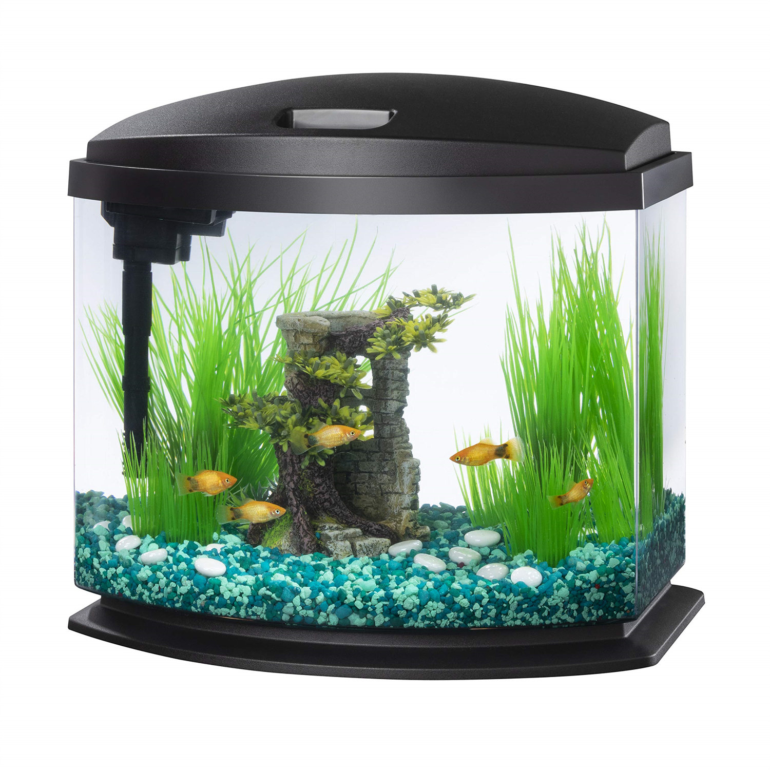 Shop Betta Fish Accessories House with great discounts and prices online -  Apr 2024