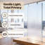 Porte intérieure en verre givré 6-Lite-121209891