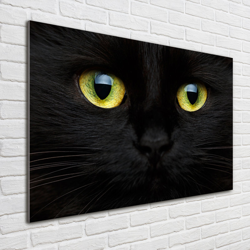 Cat's Eyes - Unframed Art Prints on Glass