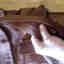 Customer photo 1 of 2