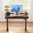 Marshun 48'' W Height Adjustable Rectangle Electric Standing Computer Desk  Home Office Desk with Drawers-907731117