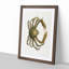 Spider Crab by J.E. De Kay - Picture Frame Painting Print-55619633-55619638