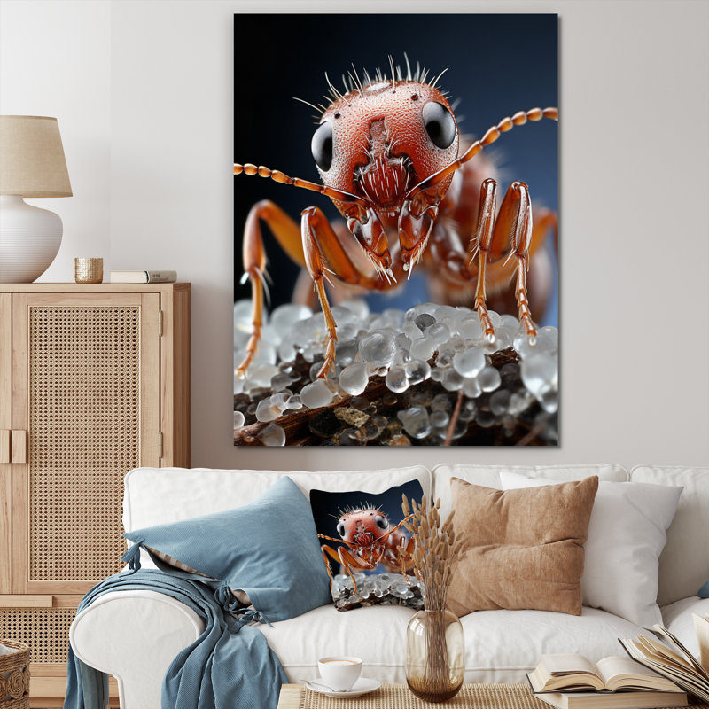 Mackinsey Ant Delicate Explorer II, reproduction d'art sur toile, H 20 po x l 12 po x P 1 po, Toile tendue