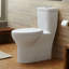 Equility Dual-Flush Elongated One-Piece Toilet (Seat Included)