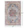 Oriental Indoor Rug