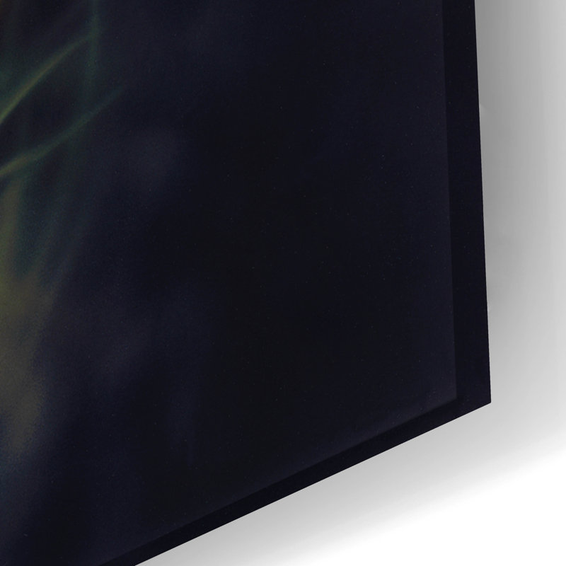 «Night Harvest-C» par Kirk Reinert, H 16 po x l 24 po x P 0,2 po