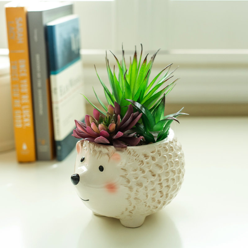 Agave de fleurs en céramique en céramique-hedgehog