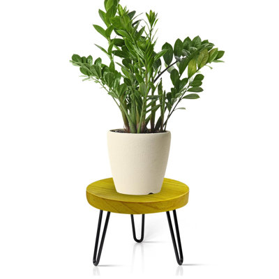 Mid Century Plant Stand Indoor Outdoor Round Wood Stool Large