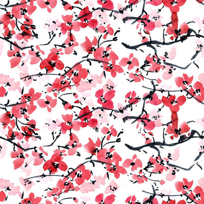 Johnsie Sakura Flowers by Ola_Tarakanova - Wrapped Canvas Painting