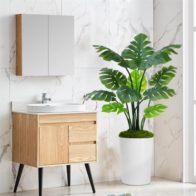 150cm Plant