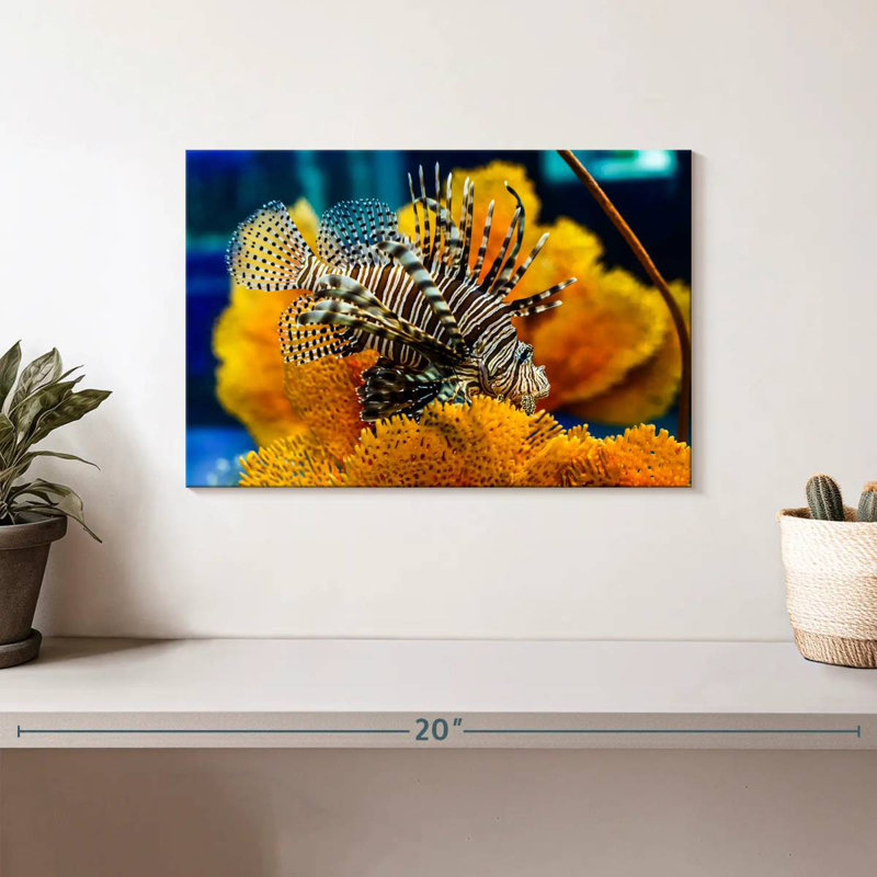 Brampt Saltwater Fish, 8" H x 12" W