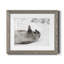 Laughing Seal - photographie avec cadre photo-1242266242-1242266300