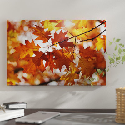 " Autumn Oak Leaves " by Alyson Fennell