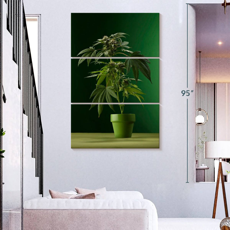 Plante de marihuana en pot Harnek, H 38 po x l 24 po
