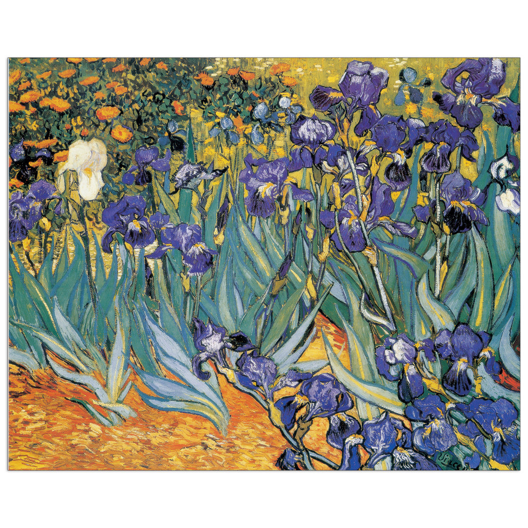 'Irises' by Vincent Van Gogh Art Print