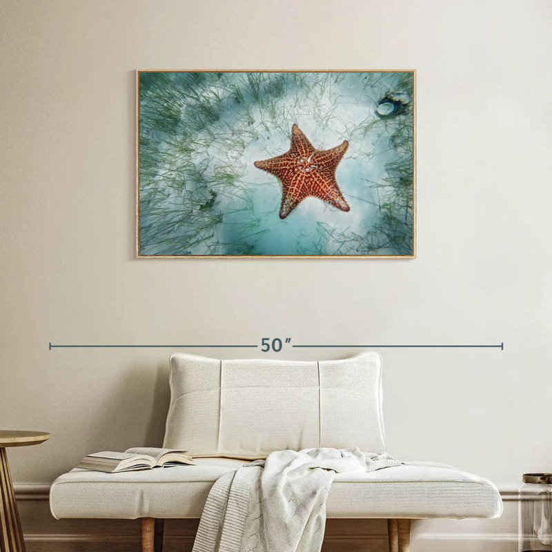 Étoile de mer peu profonde, Cadre flottant en bois naturel, 37 po x 25 po