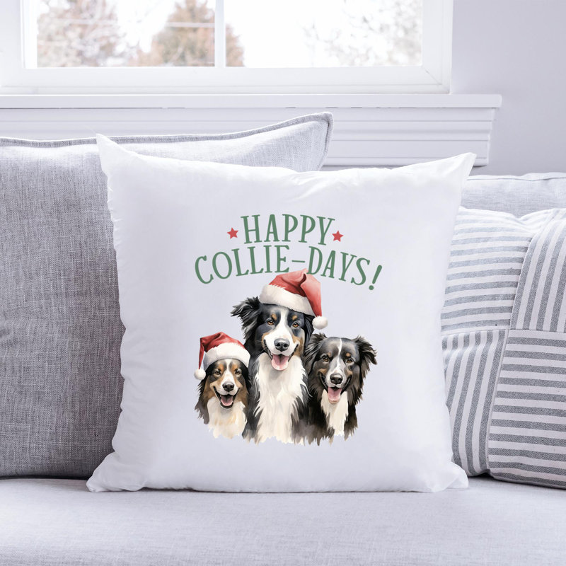 Coussin décoratif 04_collie, 20 po x 20 po