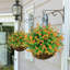 Arrangement mixte-1438405914