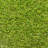 Artificial Grass Turf Rug and Roll-1277517560