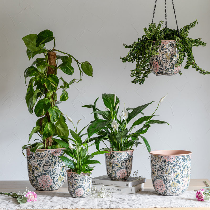 Pot Planter, 26.5cm H x 26.5cm W x 26.5cm D