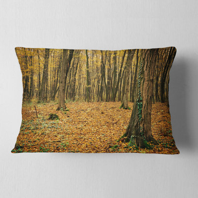 Reversible Throw Pillow