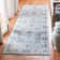 Delmer Performance Oriental Rug